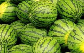 吃瓜--今日大赛完整版,今日大赛精彩瞬间大盘点